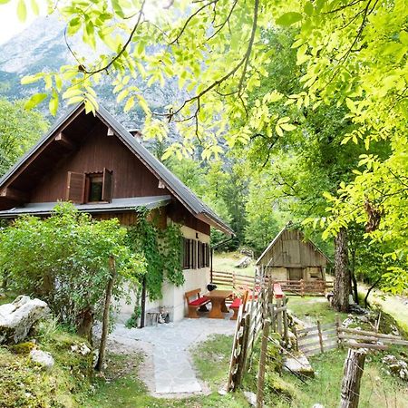 Alpine House Antonia Villa Трента Екстериор снимка
