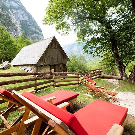 Alpine House Antonia Villa Трента Екстериор снимка
