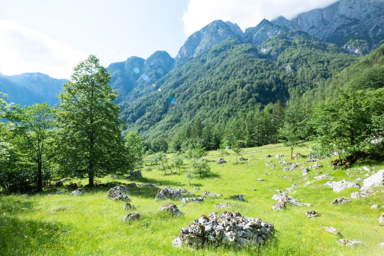 Alpine House Antonia Villa Трента Екстериор снимка