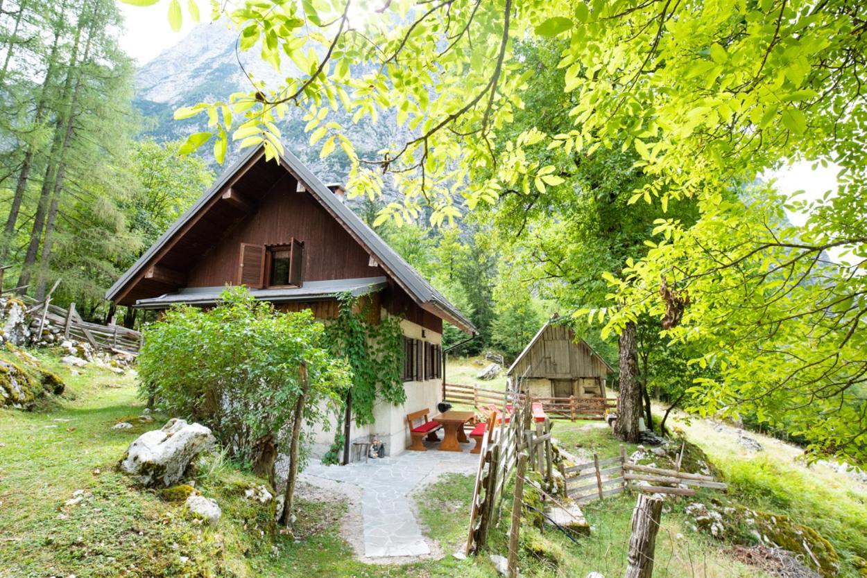 Alpine House Antonia Villa Трента Екстериор снимка