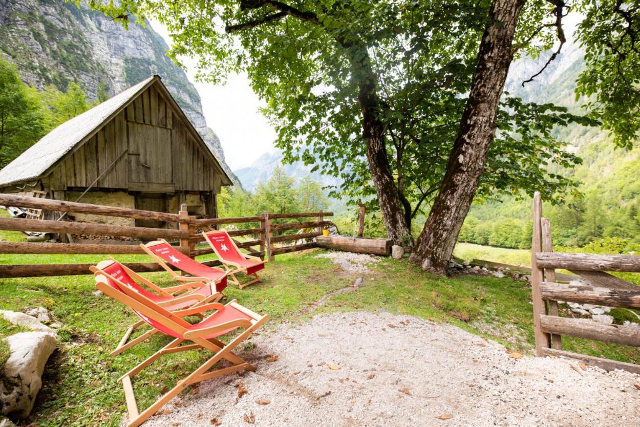 Alpine House Antonia Villa Трента Екстериор снимка