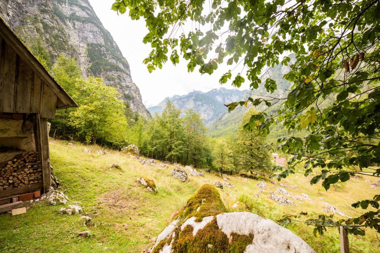 Alpine House Antonia Villa Трента Екстериор снимка
