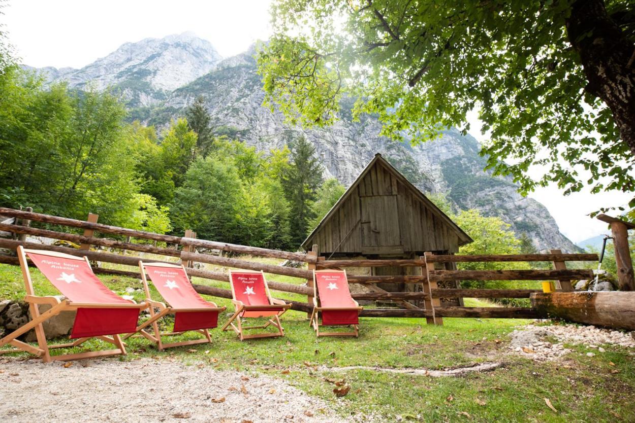 Alpine House Antonia Villa Трента Екстериор снимка