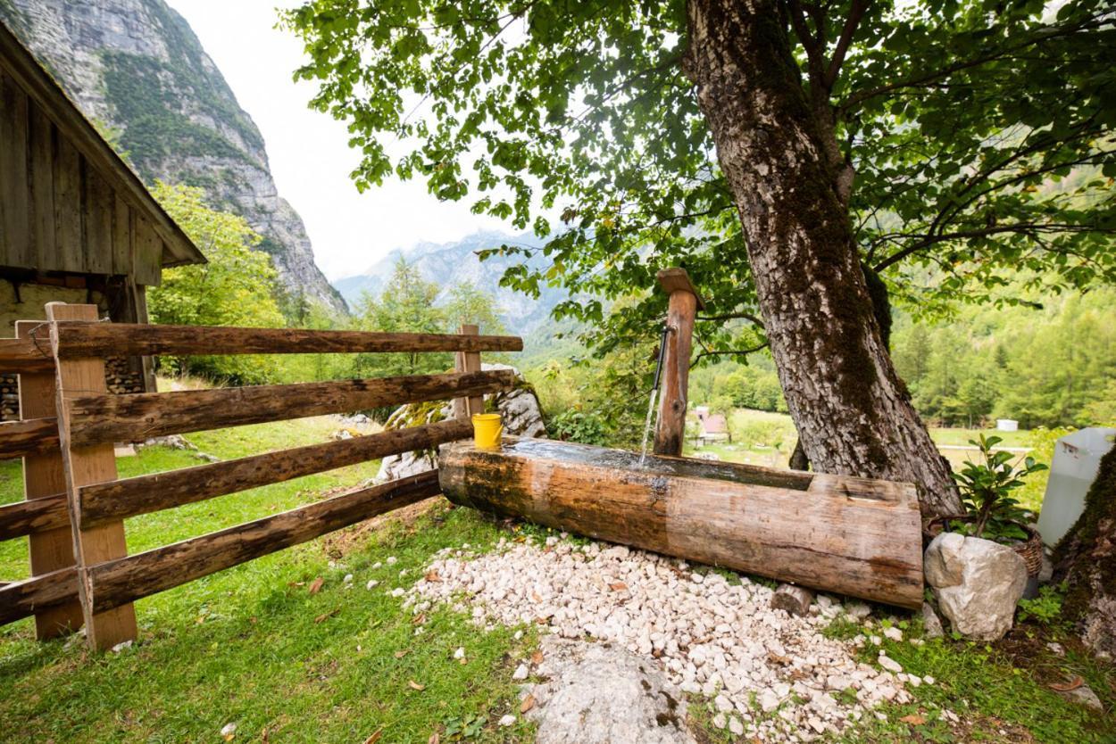 Alpine House Antonia Villa Трента Екстериор снимка